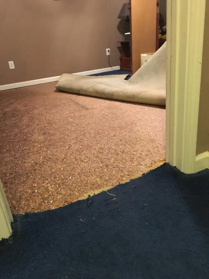 Carpet pad removal revealing water damage during Water Mitigation Services in Old Fig Garden