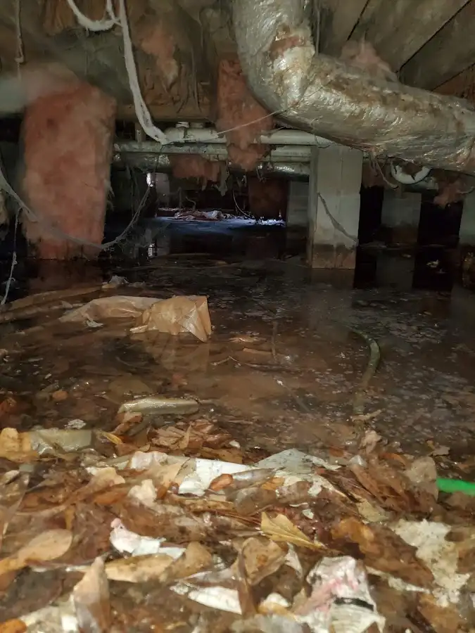 Crawl space flood assessment for Commercial Water Damage Restoration in Old Fig Garden