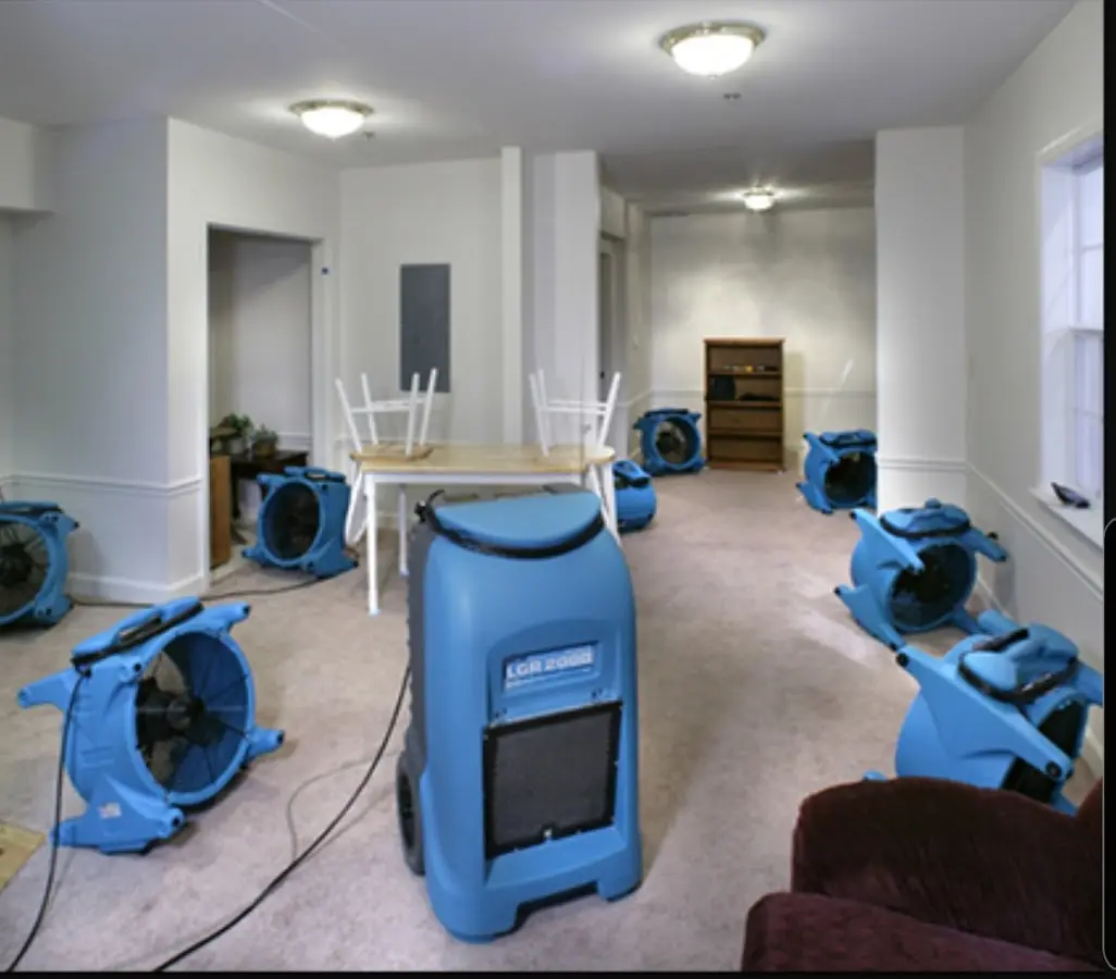 Air movers and dehumidifier setup for Water Extraction & Removal in Old Fig Garden