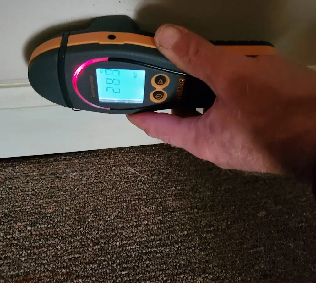 Moisture detection at baseboard during Burst Pipe Cleanup in Old Fig Garden